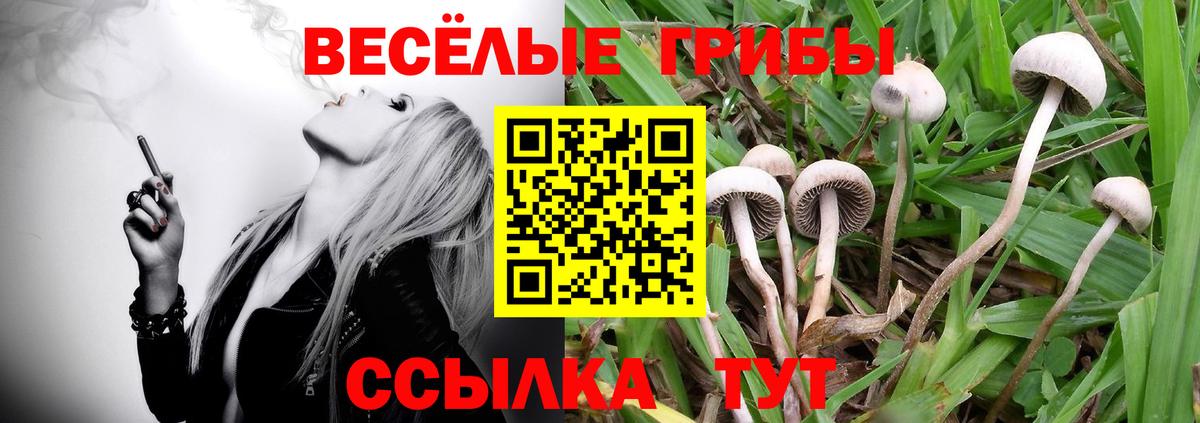 Псилоцибиновые грибы прущие грибы  Псилоцибиновые грибы мицелий  Калач-на-Дону  Вход с VPN 